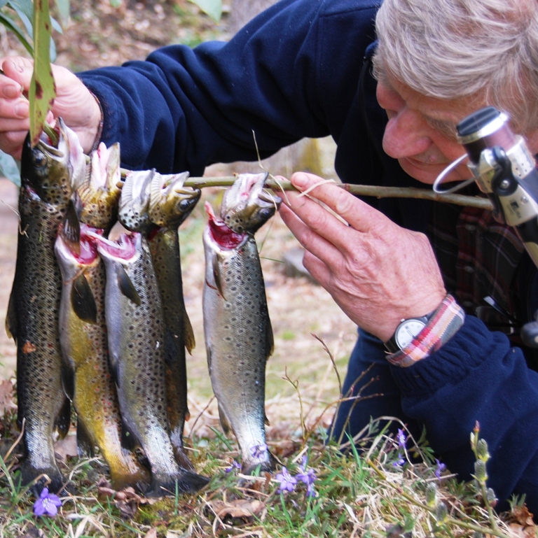 Vårens første fjellørret!